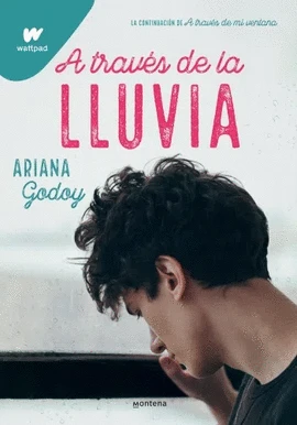 Libro: A TRAVES DE LA LLUVIA - Museo Librería Génesis Perú