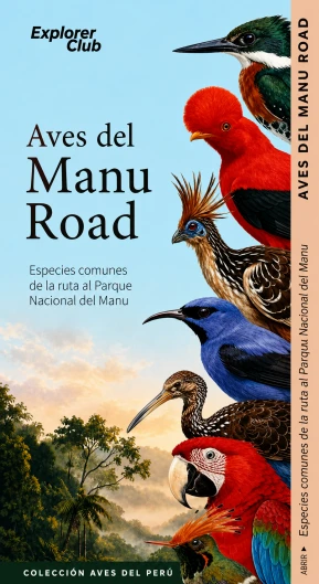 Libro: AVES DEL MANU: ESPECIES COMUNES DE LA RUTA AL PARQUE NACIONAL DEL MANU - Museo Librería Génesis Perú