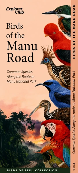 Libro: BIRDS OF THE MANU ROAD: COMMON SPECIES ALONG THE ROUTE TO MANU NATIONAL PARK - Museo Librería Génesis Perú